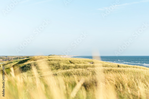 D  nenlandschaft in Westj  tland an der d  nischen Nordseek  ste