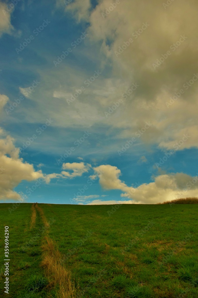 green field and cloudy sky