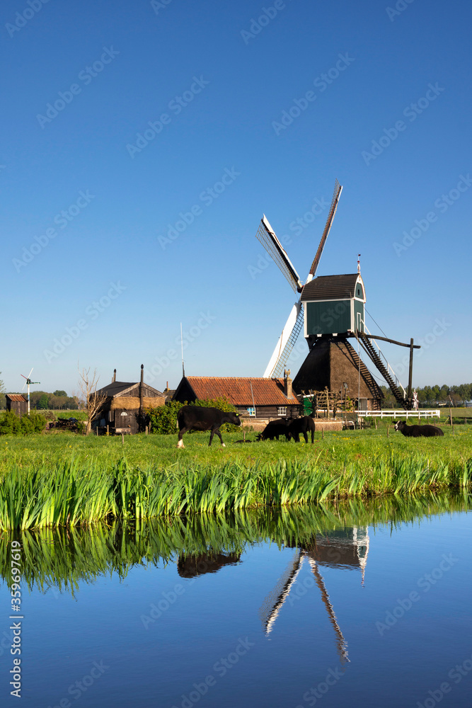 Naklejka premium The Wingerdse Molen
