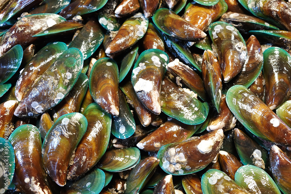 Mussel in the market Background Mussel in the market Background