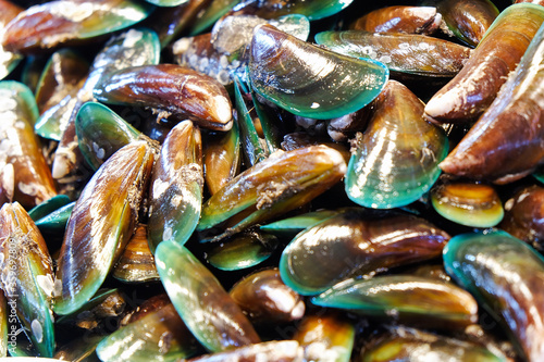Mussel in the market Background