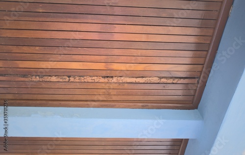 Lath ceiling, damaged wood from termite, blue concrete beams, wood , Ceiling background,copy space