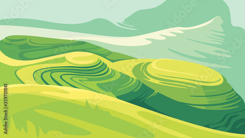 Landscape with rice fields. Beautiful agricultural scenery.