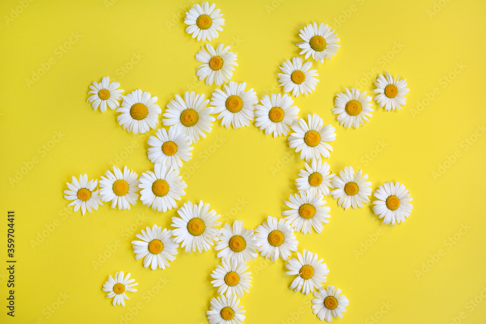 Chamomile flowers in the shape of the sun on a yellow background, top view. Closeup.