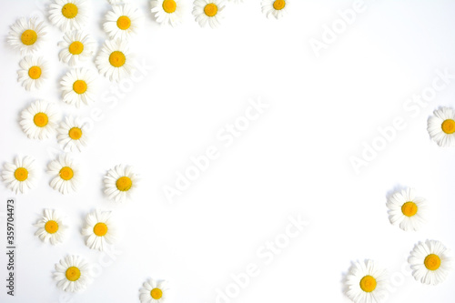 White background with chamomile flowers on the sides and central space for design. Top view