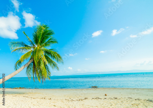 Beautiful sunny beach. View of nice tropical beach with palms around. Holiday and Vacation concept © netsay
