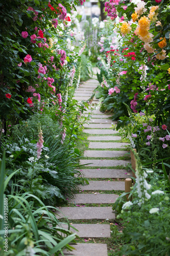 Fototapeta Naklejka Na Ścianę i Meble -  Flower garden path