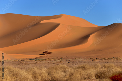 SAHARA DESERT SAND DUNES IN TASSILI NATIONAL PARK IN ALGERIA © mario