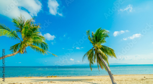 Paradise Sunny beach with palms and turquoise sea. Summer vacation and tropical beach concept. © netsay
