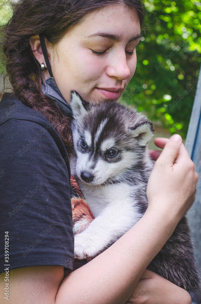 Fototapeta premium Black and white husky puppy in the arms of a girl