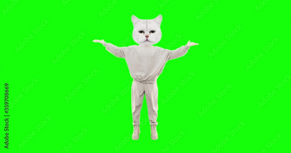 Stop motion funny character Cat with different emotions on chroma key background. Kitty power. Ideal for advertising and presentations Stop motion funny character Cat with different emotions on chroma key background. Kitty power. Ideal for advertising and presentations