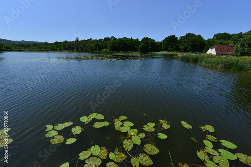Burton Mill pond in Petworth, West Sussex