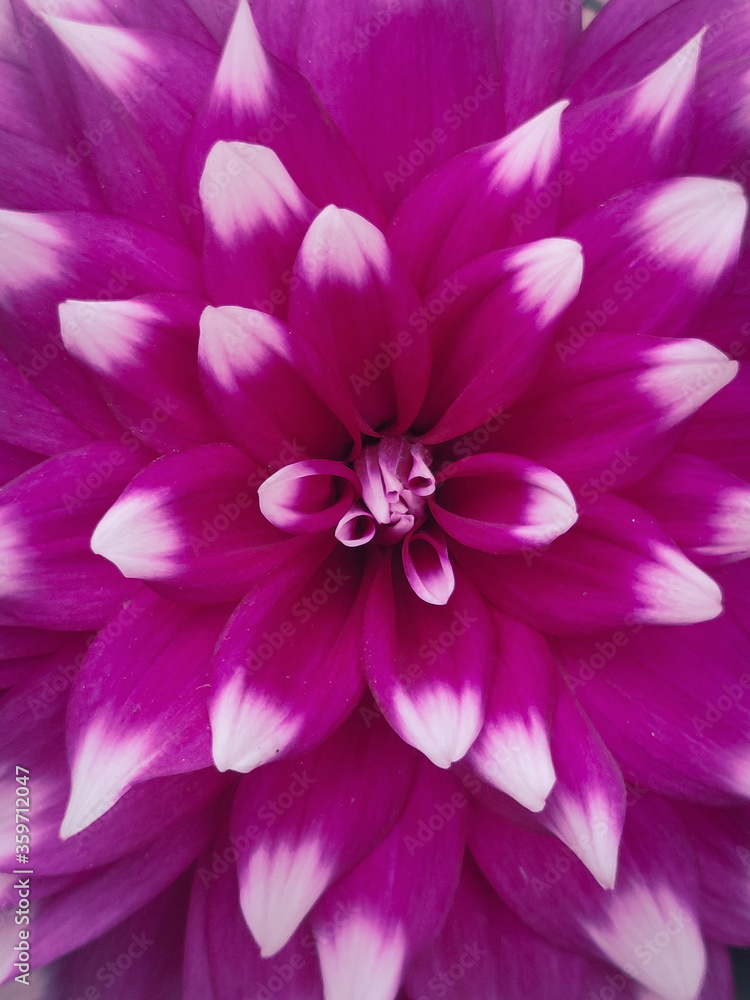 Blooming Happiness Blooming Happiness