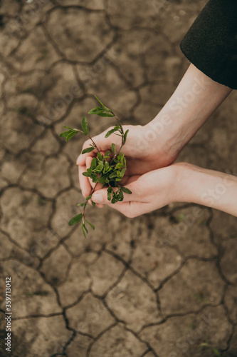 Green seedling in human hands on a background of dry earth with cracks. Man planting a plant. Environmental problems of the Earth, global warming, agriculture.