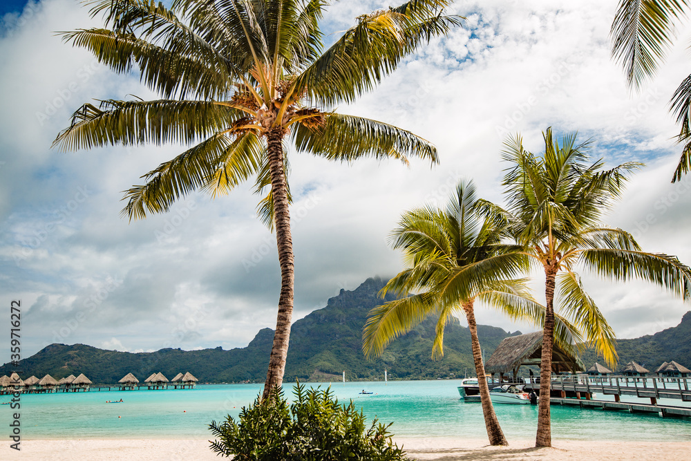 Fototapeta premium beautiful view upon tropical island