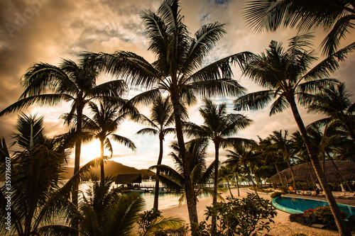 Palm Trees Silhouettes On Tropical Beach At Sunset