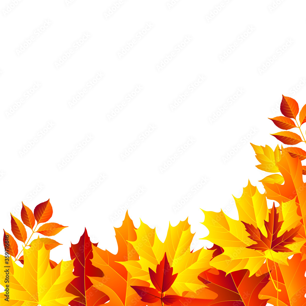 autumn leaves frame, isolated on white background. vector illustration ...