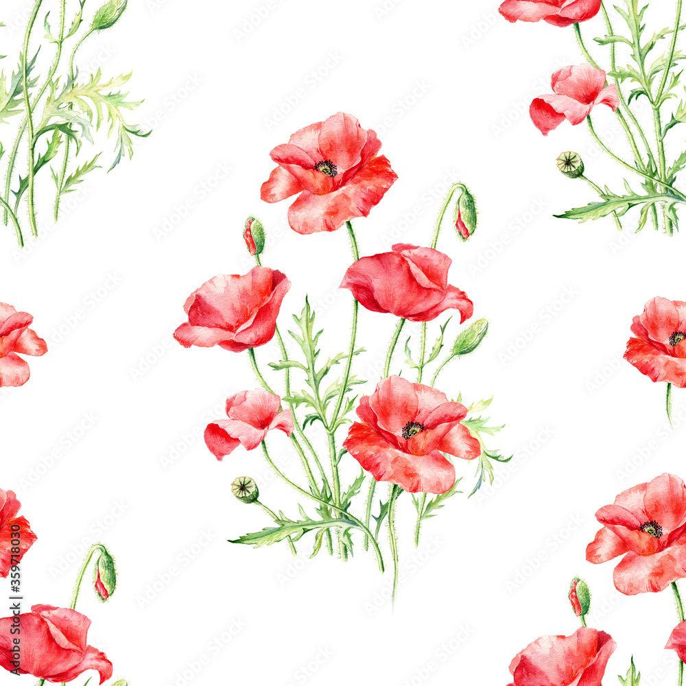 Wildflowers red Poppies. Poppy set. Hand-drawn watercolor seamless pattern on the white background.