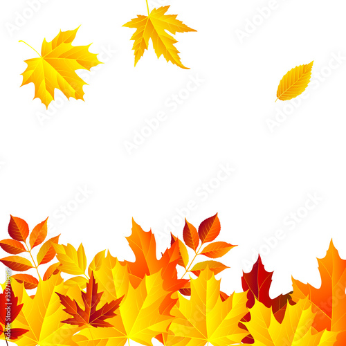 autumn leaves frame  isolated on white background. vector illustration. colorful fall red and yellow leaf Back to school border design elements