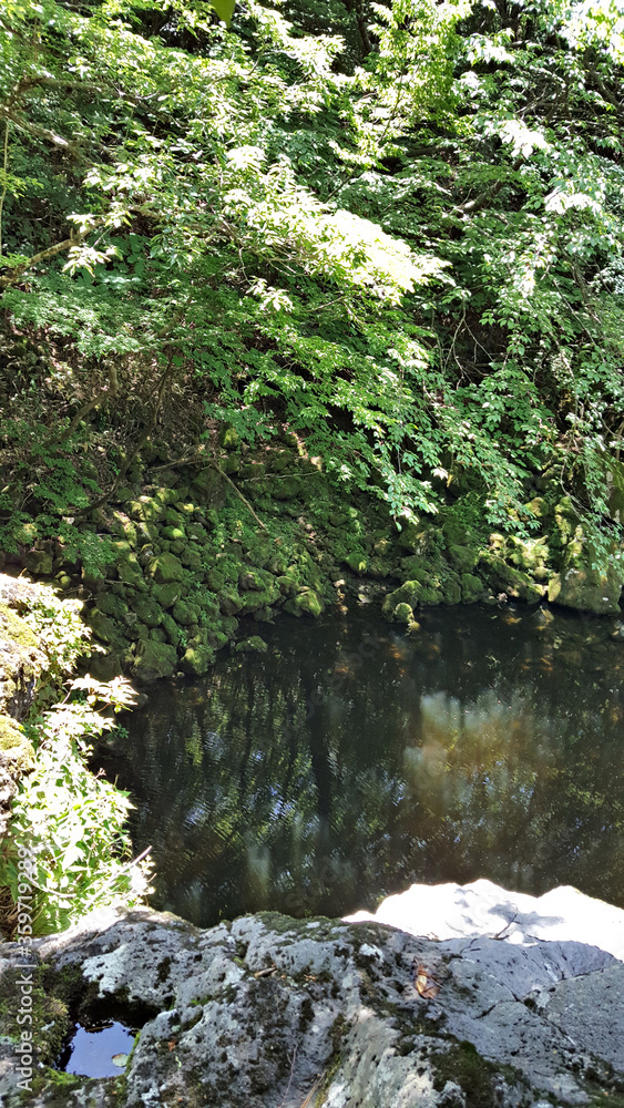 한국 제주도 한라산 둘레길 풍경