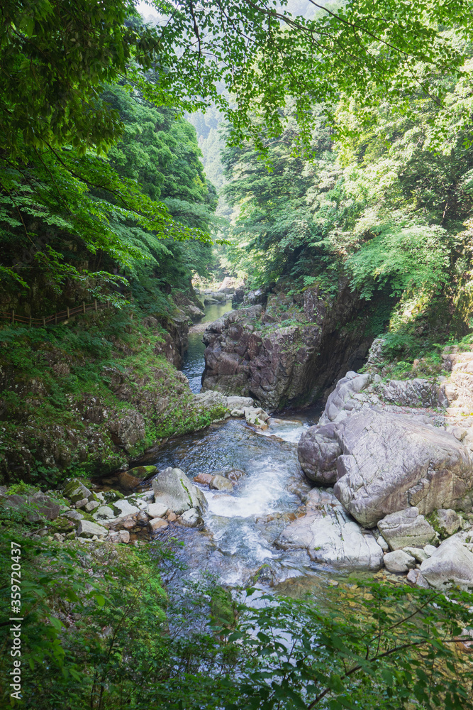 山奥の清流 山奥の清流