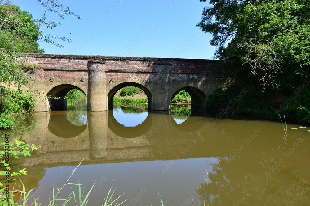 Fototapeta premium Bridge on the Wey and Arun Canal