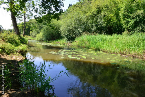 The Wey and Arun Canal in Sussex.
