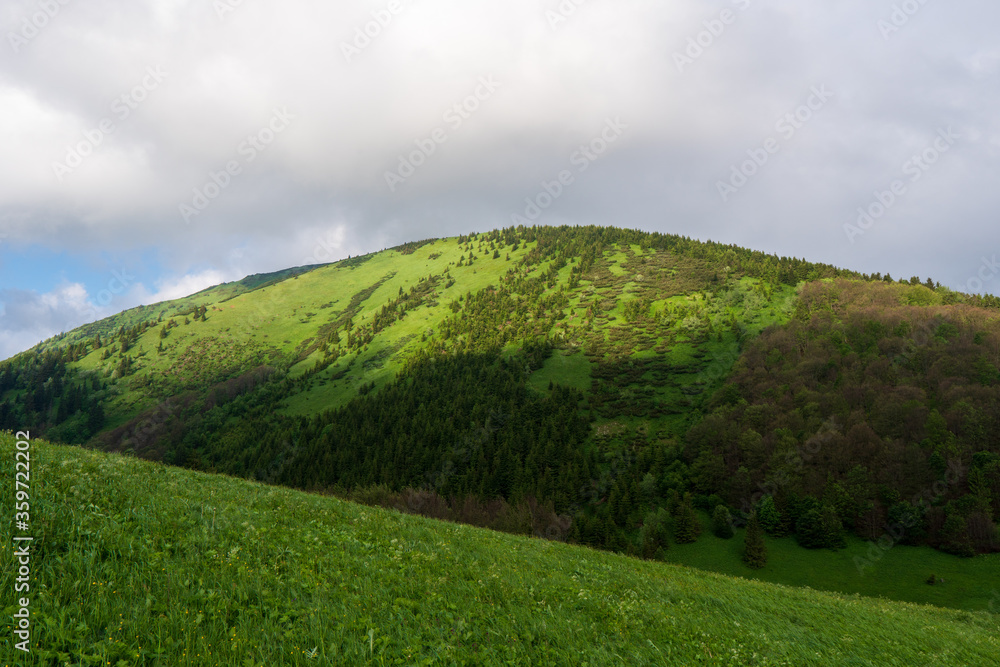 Obraz premium Forested mountain slope in low lying cloud with the evergreen conifers shrouded in mist in a scenic landscape view. Slovakia Stoh Little Fatra.