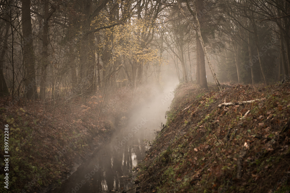Mysterious forest landcape with fog above creek in autumn in warm colors Mysterious forest landcape with fog above creek in autumn in warm colors