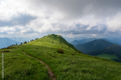 Green meadow in mountain and blue cloud sky. Composition of nature. Spring meadow. Composition of nature. Slovakia