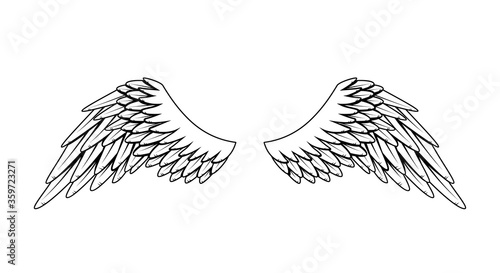 Vintage heraldic wings. Monochrome stylized birds wings. Design elements in coloring style. Abstract sketch