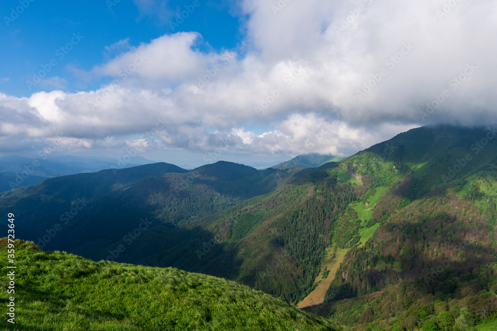 Forested mountain slope in low lying cloud with the evergreen conifers shrouded in mist in a scenic landscape view. Slovakia Stoh Little Fatra.