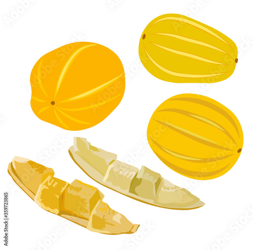 Stock vector illustration of Korean melon chamoe. Small yellow round sugar fruit. Dessert. Sugar Melon pumpkin. Sweet cantaloupe. Fresh muskmelon. Isolated on a white background. Summer vegetable