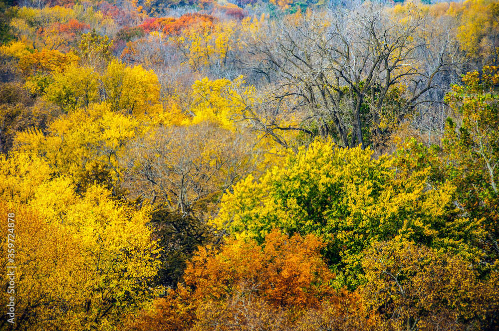 Michigan Fall colors