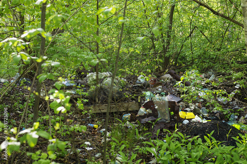Fototapeta Naklejka Na Ścianę i Meble -  a lot of garbage in the forest