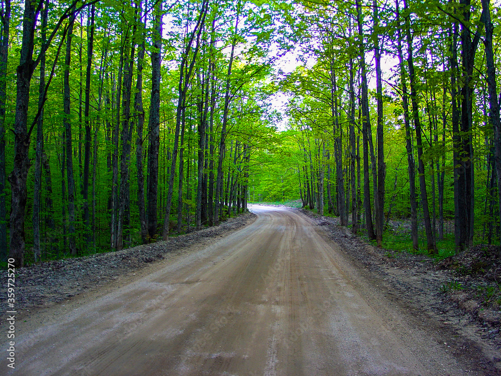 Obraz premium Dirt road in the fall