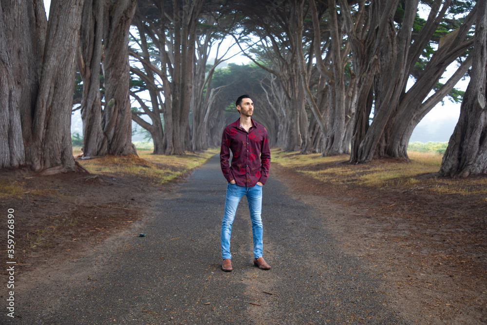 Fototapeta premium Male model dressed up standing in a tree tunnel road