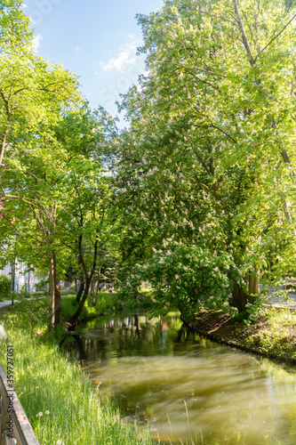 Lyna River between trees in Olsztyn city in Poland.