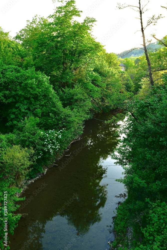 Naklejka premium river with a rocky channel and green vegetation