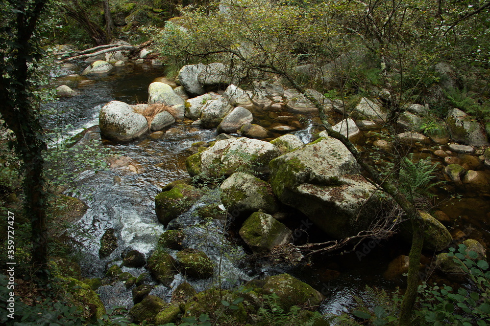 Fototapeta premium River Rio Mao in Ribeira Sacra in Galicia,Spain,Europe