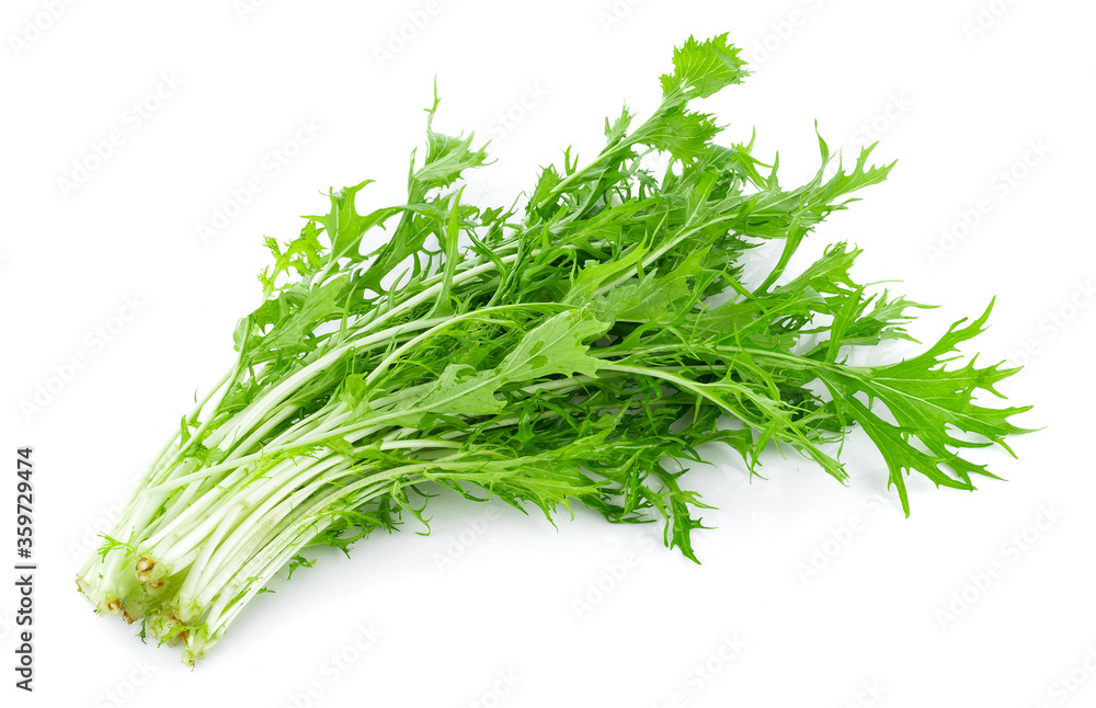 Mizuna lettuce isolated Japanese Mustard, vegetable salad for good health on white background Mizuna lettuce isolated Japanese Mustard, vegetable salad for good health on white background