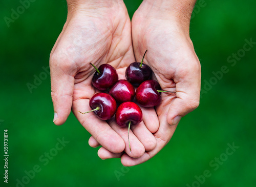 Tasty, delicious ripe red cherries in man's hands. 