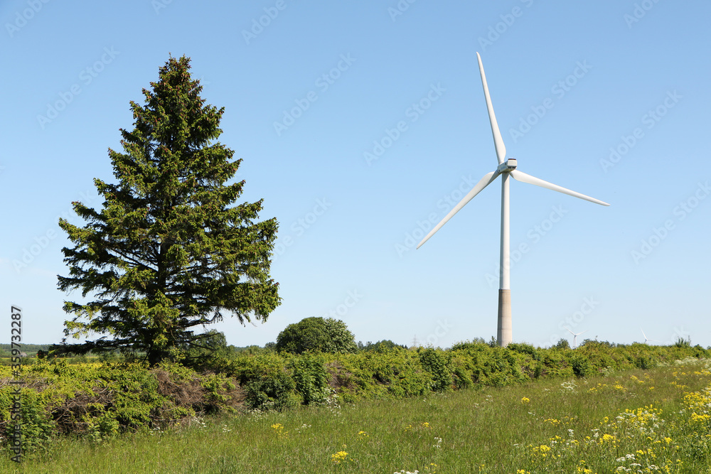 Fototapeta premium A wind turbine rotates against a blue sky.