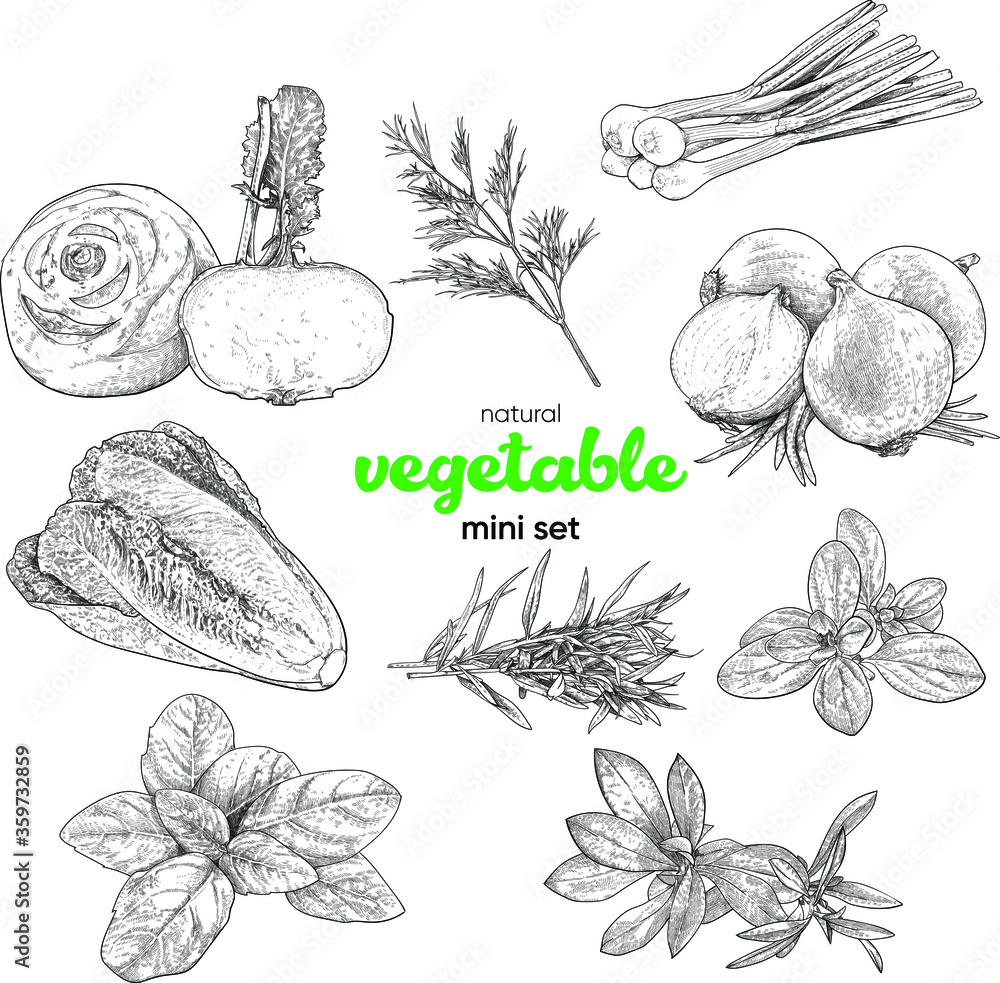Natural vegetable mini set. Vintage hand drawing sketch vector ...