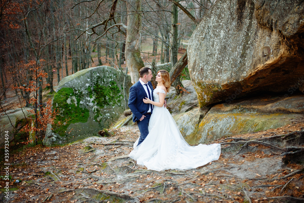 The bride and groom are hugging on the background of rocks. The bride and groom are hugging on the background of rocks.