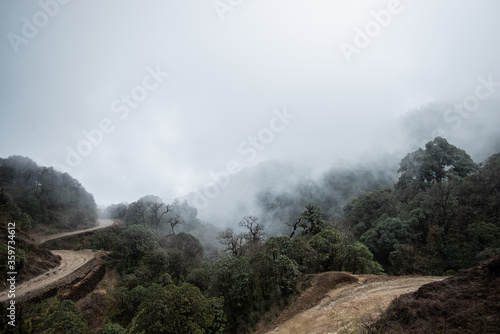 fog in the mountains of West Bengal, Himalayas © YARphotographer