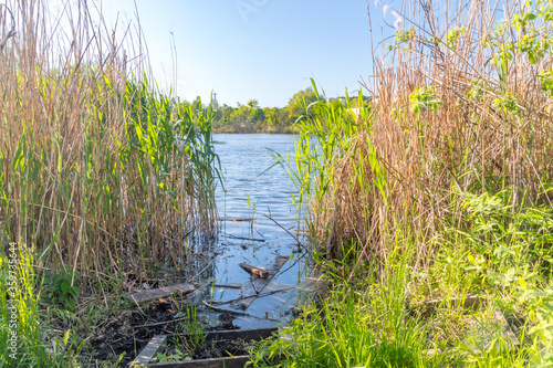 Fototapeta Naklejka Na Ścianę i Meble -  View on Czarne (Black) Lake at sunny day in Olsztyn, Poland.