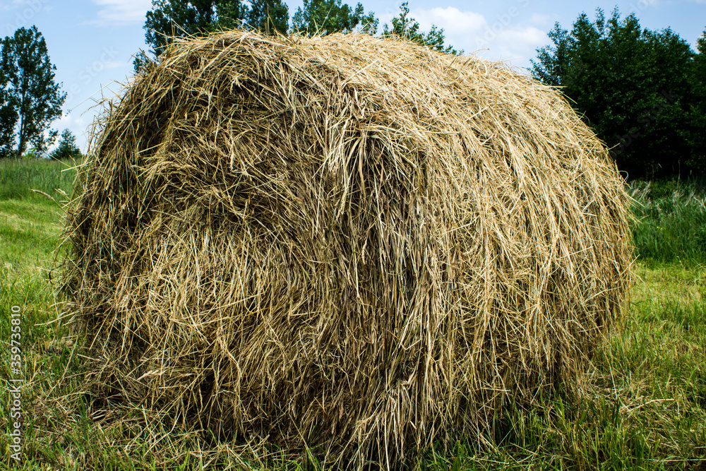 Gold straw bales during hay harvest on the field, country landscape, straw bale Gold straw bales during hay harvest on the field, country landscape, straw bale