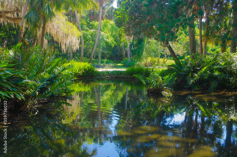 Florida-Washington Oaks State Park Pond