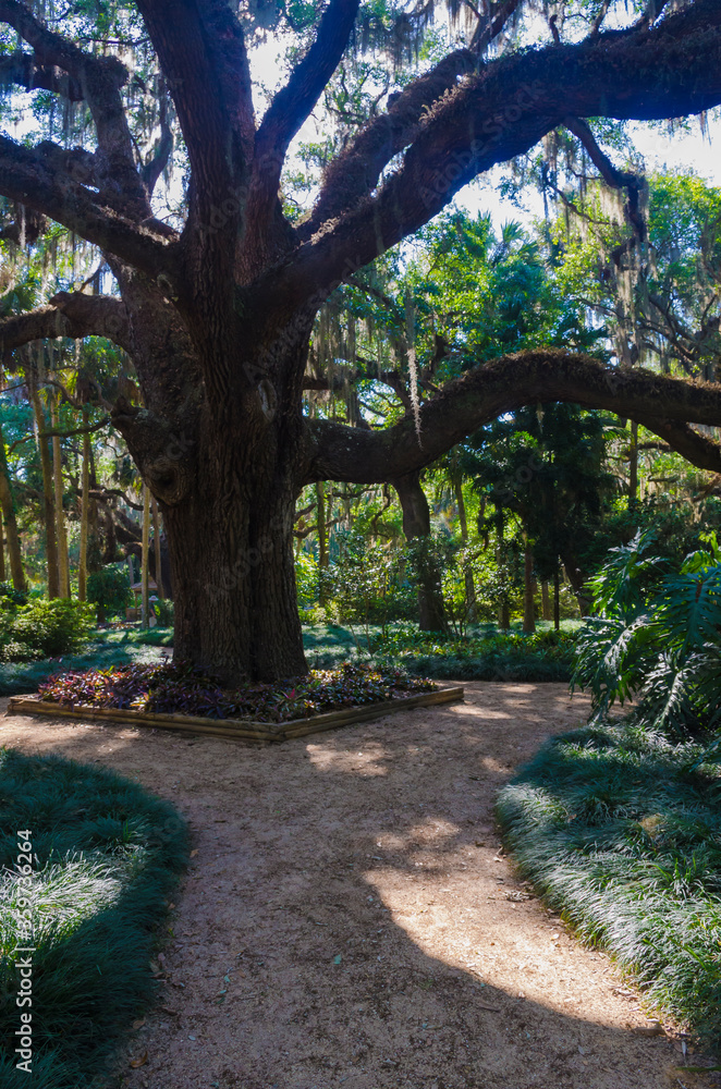 Florida Botanical Gardens, Washington Oaks State Park